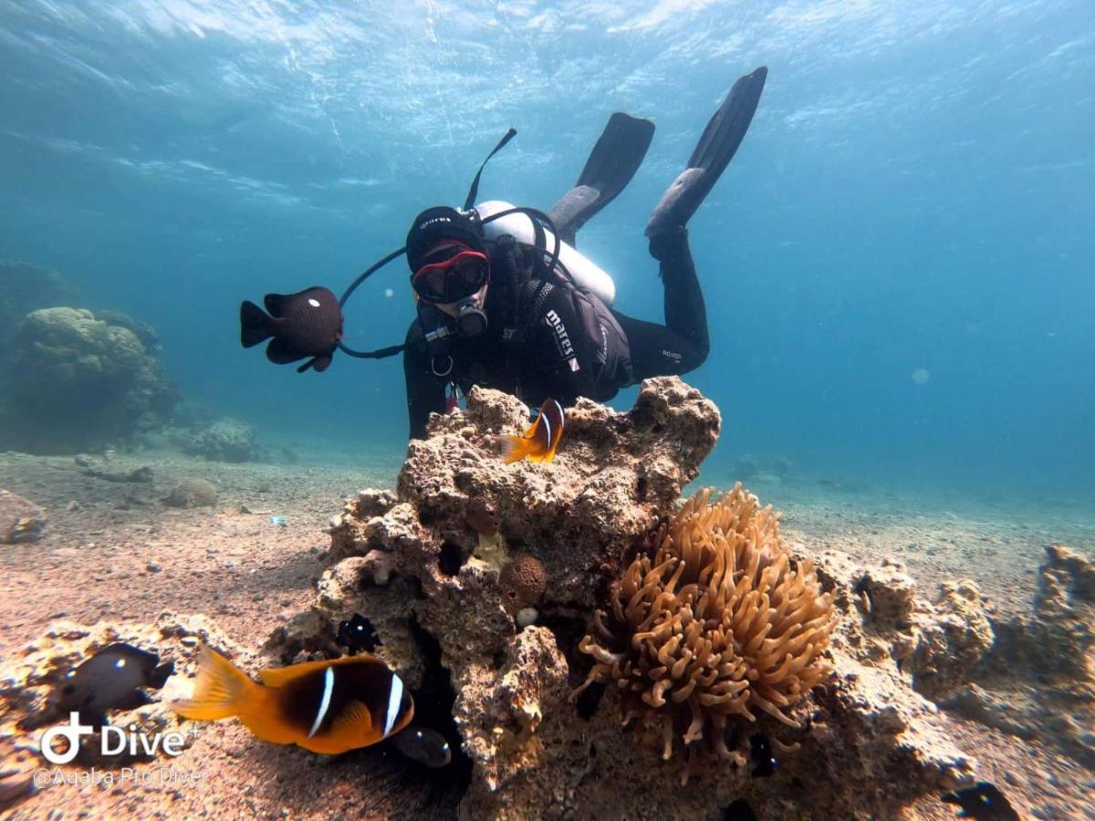 Aqaba Pro Divers Exterior photo