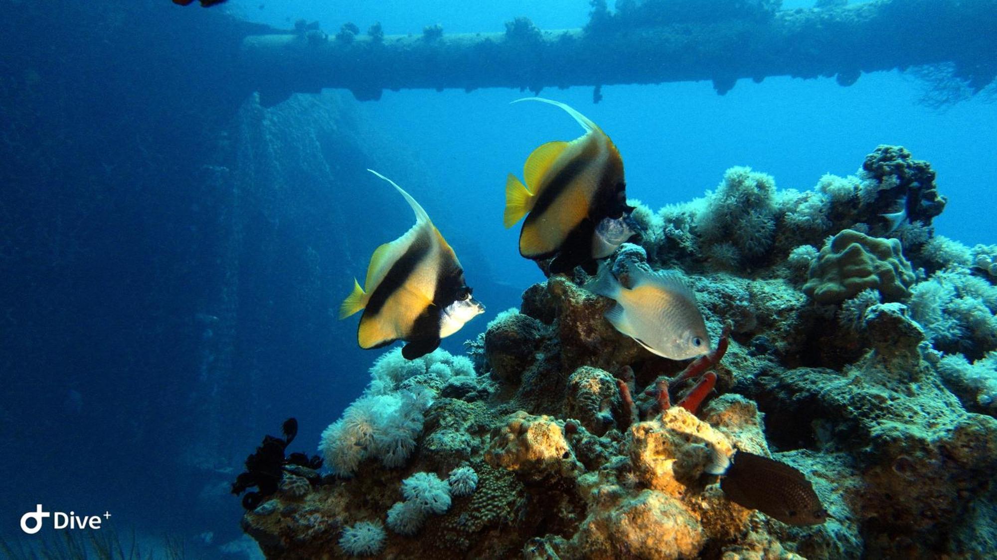Aqaba Pro Divers Exterior photo