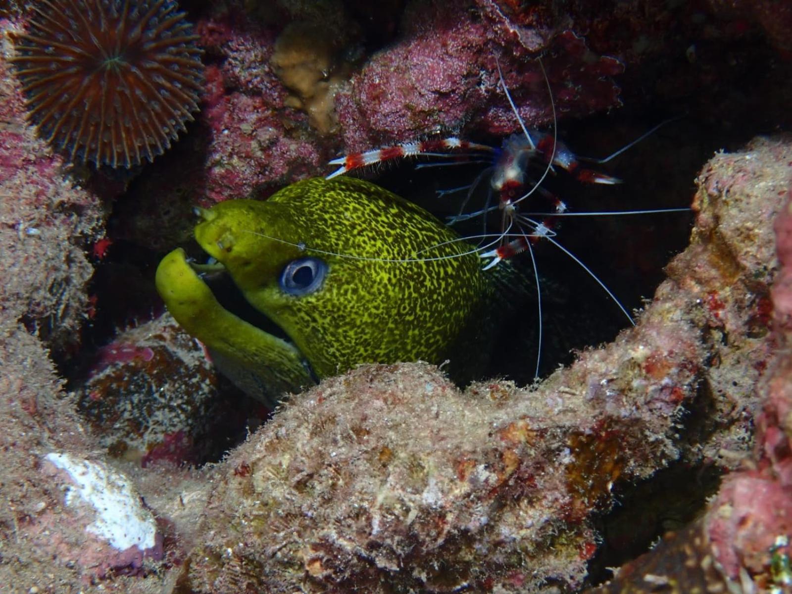 Aqaba Pro Divers Exterior photo