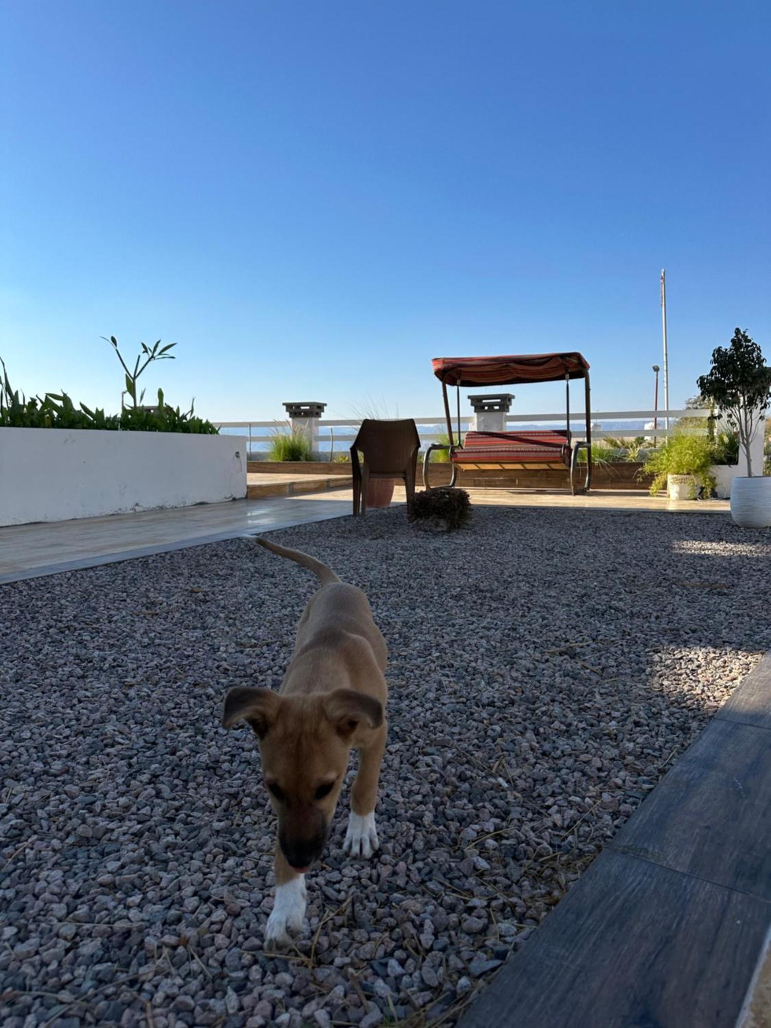 Aqaba Pro Divers Exterior photo